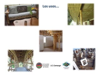 Los usos...

J.C. Camargo

 