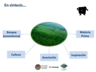 En síntesis...

Materia
Prima

Bosque
(ecosistema)

Cultura

Asociación
J.C. Camargo

Inspiración

 