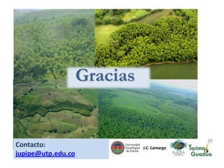 Gracias

Contacto:
jupipe@utp.edu.co

J.C. Camargo

 