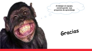 A trabajar en equipo,
construyendo sus
proyectos de aprendizaje
 