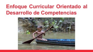 Enfoque Curricular Orientado al
Desarrollo de Competencias
 