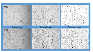 Original Image Corrected Image Segmented Image 
400 
775 
 