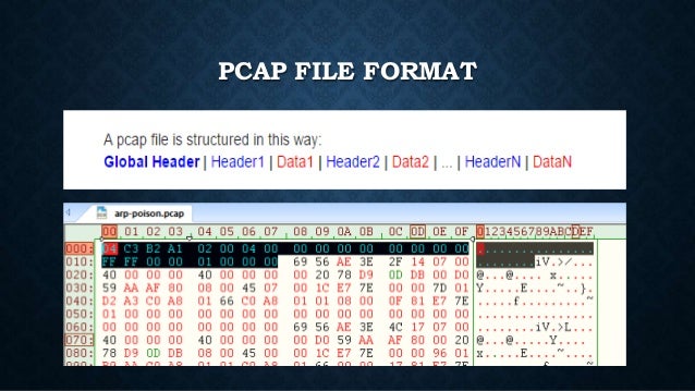 pcap headers description pcap file format example