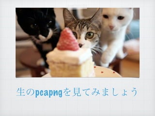 生のpcapngを見てみましょう
 