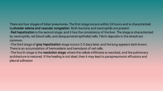 There are four stages of lobar pneumonia. The ﬁrst stage occurs within 24 hours and is characterized
byalveolar edema and vascular congestion. Both bacteria and neutrophils are present.
◦Red hepatization is the second stage, and it has the consistency of the liver. The stage is characterized
by neutrophils, red blood cells, and desquamated epithelial cells. Fibrin deposits in the alveoli are
common.
◦The third stage of gray hepatization stage occurs 2-3 days later, and the lung appears dark brown.
There is an accumulation of hemosiderin and hemolysis of red cells.
◦The fourth stage is the resolution stage, where the cellula inﬁltrates is resorbed, and the pulmonary
architecture is restored. If the healing is not ideal, then it may lead to parapneumonic effusions and
pleural adhesion
 