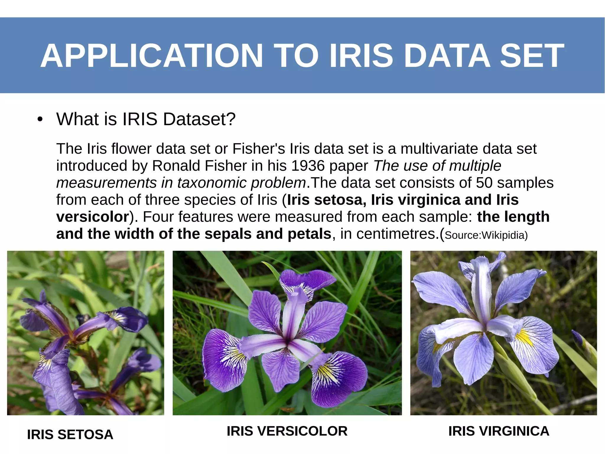 ● What is IRIS Dataset?
The Iris flower data set or Fisher's Iris data set is a multivariate data set
introduced by Ronald Fisher in his 1936 paper The use of multiple
measurements in taxonomic problem.The data set consists of 50 samples
from each of three species of Iris (Iris setosa, Iris virginica and Iris
versicolor). Four features were measured from each sample: the length
and the width of the sepals and petals, in centimetres.(Source:Wikipidia)
APPLICATION TO IRIS DATA SET
IRIS SETOSA IRIS VERSICOLOR IRIS VIRGINICA
 