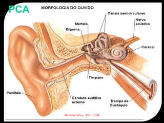 Devânia Silva - TST / EIM
PCA
 