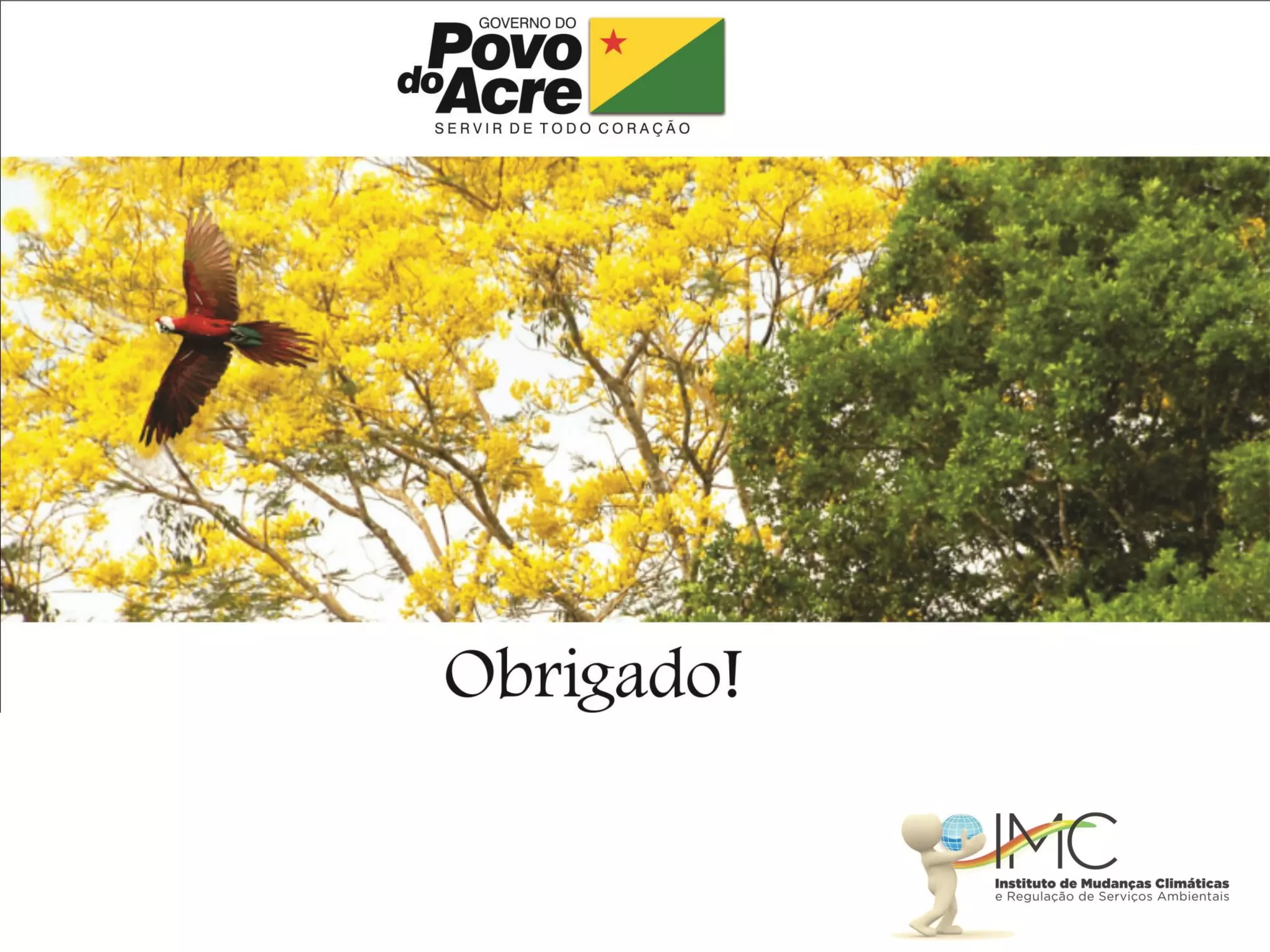 P carbono acre-vcs workshop_12_jun13