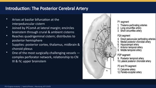 Pca Inervates PCA Surgical anatomy by Dr Prasanna D Hegde. Neurosurgery Resident ...