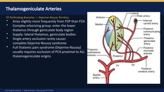 Pca Body PCA Surgical anatomy by Dr Prasanna D Hegde. Neurosurgery Resident ...
