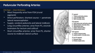 Pca Inervates PCA Surgical anatomy by Dr Prasanna D Hegde. Neurosurgery Resident ...