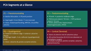 Pca Inervates PCA Surgical anatomy by Dr Prasanna D Hegde. Neurosurgery Resident ...