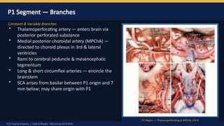 Pca Inervates PCA Surgical anatomy by Dr Prasanna D Hegde. Neurosurgery Resident ...