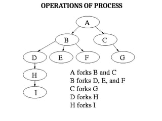 OPERATIONS OF PROCESS
 