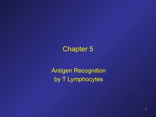Chapter 5 Antigen Recognition by T Lymphocytes 