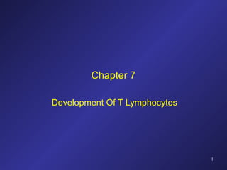 Chapter 7 Development Of T Lymphocytes 