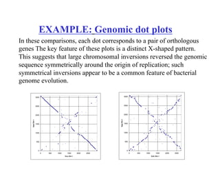 0
500
1000
1500
2000
2500
3000
0 500 1000 1500 2000 2500
Vvu Chr I
Vpa
Chr
I
0
500
1000
1500
2000
2500
3000
0 500 1000 1500 2000 2500
Vch Chr I
Vpa
Chr
I
EXAMPLE: Genomic dot plots
In these comparisons, each dot corresponds to a pair of orthologous
genes The key feature of these plots is a distinct X-shaped pattern.
This suggests that large chromosomal inversions reversed the genomic
sequence symmetrically around the origin of replication; such
symmetrical inversions appear to be a common feature of bacterial
genome evolution.
 