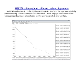 OWEN: aligning long collinear regions of genomes
OWEN is an interactive tool for aligning two long DNA sequences that represents similarity
between them by a chain of collinear local similarities. OWEN employs several methods for
constructing and editing local similarities and for resolving conflicts between them.
 