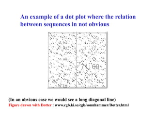 An example of a dot plot where the relation
between sequences in not obvious
(In an obvious case we would see a long diagonal line)
Figure drawn with Dotter : www.cgb.ki.se/cgb/sonnhammer/Dotter.html
 