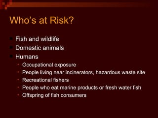 Who’s at Risk? Fish and wildlife Domestic animals Humans Occupational exposure People living near incinerators, hazardous waste site Recreational fishers People who eat marine products or fresh water fish Offspring of fish consumers 