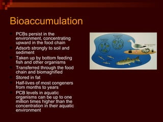 Bioaccumulation PCBs persist in the environment, concentrating upward in the food chain Adsorb strongly to soil and sediment Taken up by bottom feeding fish and other organisms Transferred through the food chain and biomagnified Stored in fat Half-lives of most congeners from months to years PCB levels in aquatic organisms can be up to one million times higher than the concentration in their aquatic environment 