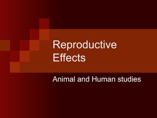 Reproductive Effects Animal and Human studies 