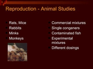Reproduction - Animal Studies Rats, Mice Rabbits Minks Monkeys Commercial mixtures Single congeners Contaminated fish Experimental mixtures Different dosings 