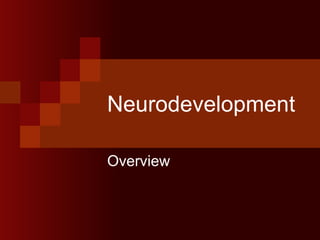 Neurodevelopment Overview  