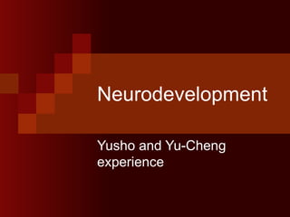 Neurodevelopment Yusho and Yu-Cheng experience 