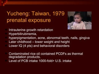 Yucheng: Taiwan, 1979  prenatal exposure Intrauterine growth retardation Hyperbilirubinemia,  hyperpigmentation, acne, abnormal teeth, nails, gingiva Later childhood – lower weight and height Lower IQ (4 pts) and behavioral disorders Contaminated rice oil contained PCDFs as thermal degradation products.  Level of PCB intake 1000-fold> U.S. intake 