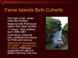 Faroe Islands Birth Cohorts Diet high in fish, whale meat and blubber Maternal milk PCB levels higher than other studies 1 st  cohort: 1022 children, born 1986-1987 Cord blood, maternal hair, umbilical cord tissue for PCB and mercury Neuropsych assessment at 7 years – general lack of effects,  PCB level suggestive for deficit in Boston Naming Test only 