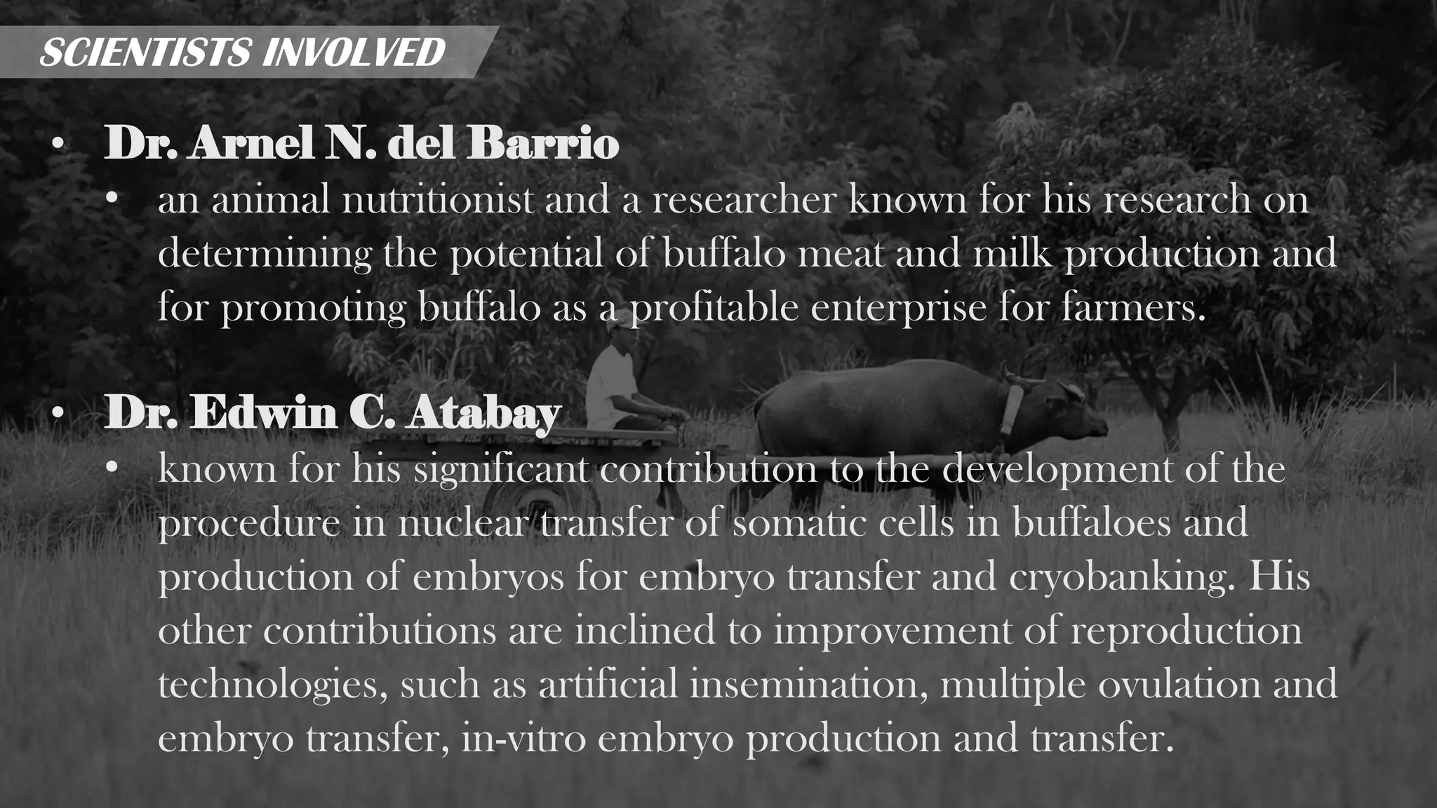 Philippine Carabao Center - reporting | PPTX