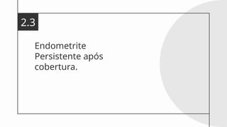 Endometrite
Persistente após
cobertura.
2.3
 