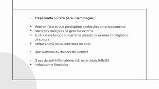 • Preparando o útero para inseminação.
 eliminar fatores que predispõem a infecções antecipadamente
 correções cirúrgicas na genitália externa
 ausência de fungos ou bactérias através de exames citológicos e
de cultura
 limitar a uma única cobertura por ciclo
• Que aumenta as chances de prenhez
• O uso de anti-inflamatórios não esteroidais (AINES)
 meloxicam e firocoxibe
 
