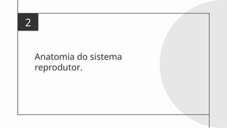 Anatomia do sistema
reprodutor.
2
 