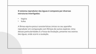 O sistema reprodutor das éguas é composto por diversas
estruturas interligadas:
• Vagina
• Vulva
A fêmea equina possui características únicas no seu aparelho
reprodutor em comparação com fêmeas de outras espécies. Uma
dessas particularidades é a Fossa da Ovulação, presente nos ovários
das éguas, onde ocorre a ovulação.
 