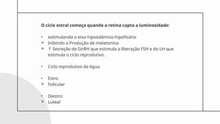 O ciclo estral começa quando a retina capta a luminosidade:
• estimulando o eixo hipotalâmico-hipofisário
 Inibindo a Produção de melatonina
 ↑ Secreção de GnRH que estimula a liberação FSH e do LH que
estimula o ciclo reprodutivo.
• Ciclo reprodutivo da égua
• Estro
 Folicular
• Diestro
 Luteal
 