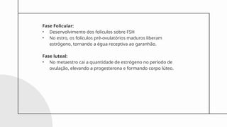 Fase Folicular:
• Desenvolvimento dos folículos sobre FSH
• No estro, os folículos pré-ovulatórios maduros liberam
estrógeno, tornando a égua receptiva ao garanhão.
Fase luteal:
• No metaestro cai a quantidade de estrógeno no período de
ovulação, elevando a progesterona e formando corpo lúteo.
 