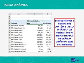 TABELA DINÂMICA
Se você retornar a
Planilha que
CONTÉM a TABELA
DINÂMICA vai
observar que os
dados FILTRADOS
no GRÁFICO
DINÂMICO estão
nela refletidos
 