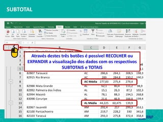 SUBTOTAL
Através destes três botões é possível RECOLHER ou
EXPANDIR a visualização dos dados com os respectivos
SUBTOTAIS e TOTAIS
 