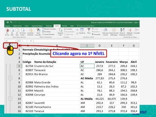 SUBTOTAL
Clicando agora no 1º NÍVEL
 