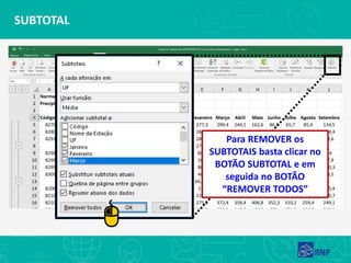 SUBTOTAL
Para REMOVER os
SUBTOTAIS basta clicar no
BOTÃO SUBTOTAL e em
seguida no BOTÃO
“REMOVER TODOS”
 
