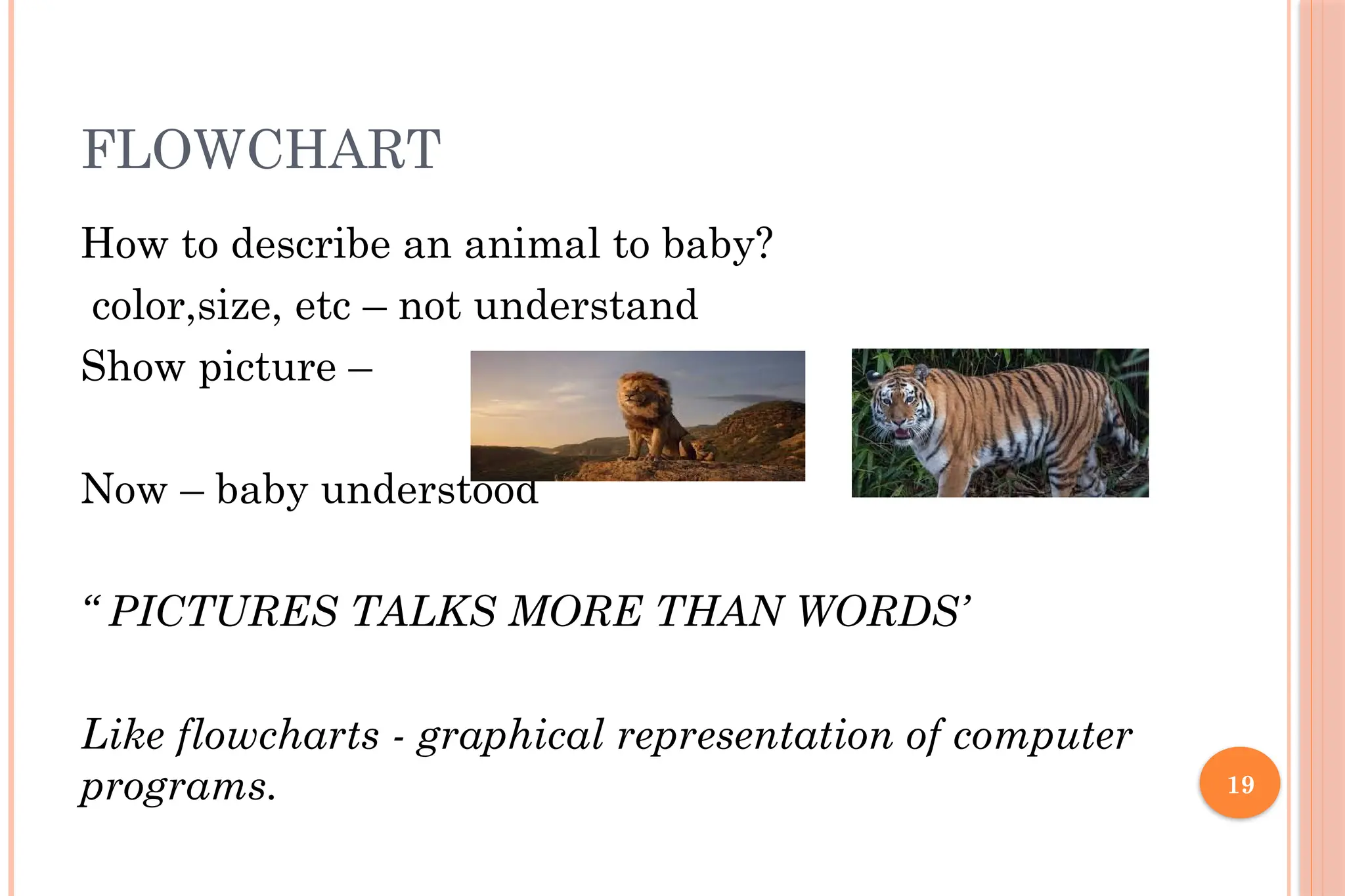 19 FLOWCHART How to describe an animal to baby? color,size, etc – not understand Show picture – Now – baby understood “ PICTURES TALKS MORE THAN WORDS’ Like flowcharts - graphical representation of computer programs. 
