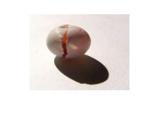 Pc changes ppt chemistry