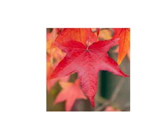 Pc changes ppt chemistry