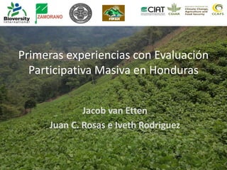Primeras experiencias con Evaluación
Participativa Masiva en Honduras
Jacob van Etten
Juan C. Rosas e Iveth Rodriguez
 
