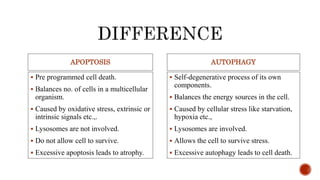 PROGRAMMED CELL DEATH | PPTX