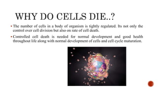 PROGRAMMED CELL DEATH