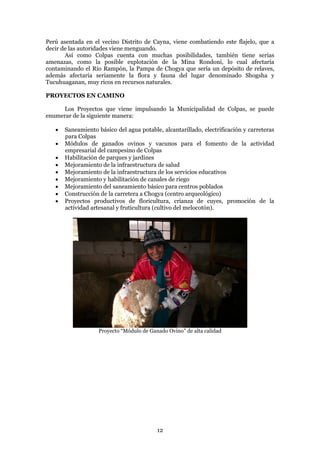 Perú asentada en el vecino Distrito de Cayna, viene combatiendo este flajelo, que a
decir de las autoridades viene menguando.
       Así como Colpas cuenta con muchas posibilidades, también tiene serias
amenazas, como la posible explotación de la Mina Rondoni, lo cual afectaría
contaminando el Río Rampón, la Pampa de Chogya que sería un depósito de relaves,
además afectaría seriamente la flora y fauna del lugar denominado Shogsha y
Tucuhuaganan, muy ricos en recursos naturales.

PROYECTOS EN CAMINO

      Los Proyectos que viene impulsando la Municipalidad de Colpas, se puede
enumerar de la siguiente manera:

      Saneamiento básico del agua potable, alcantarillado, electrificación y carreteras
       para Colpas
      Módulos de ganados ovinos y vacunos para el fomento de la actividad
       empresarial del campesino de Colpas
      Habilitación de parques y jardines
      Mejoramiento de la infraestructura de salud
      Mejoramiento de la infraestructura de los servicios educativos
      Mejoramiento y habilitación de canales de riego
      Mejoramiento del saneamiento básico para centros poblados
      Construcción de la carretera a Chogya (centro arqueológico)
      Proyectos productivos de floricultura, crianza de cuyes, promoción de la
       actividad artesanal y fruticultura (cultivo del melocotón).




                    Proyecto “Módulo de Ganado Ovino” de alta calidad




                                           12
 