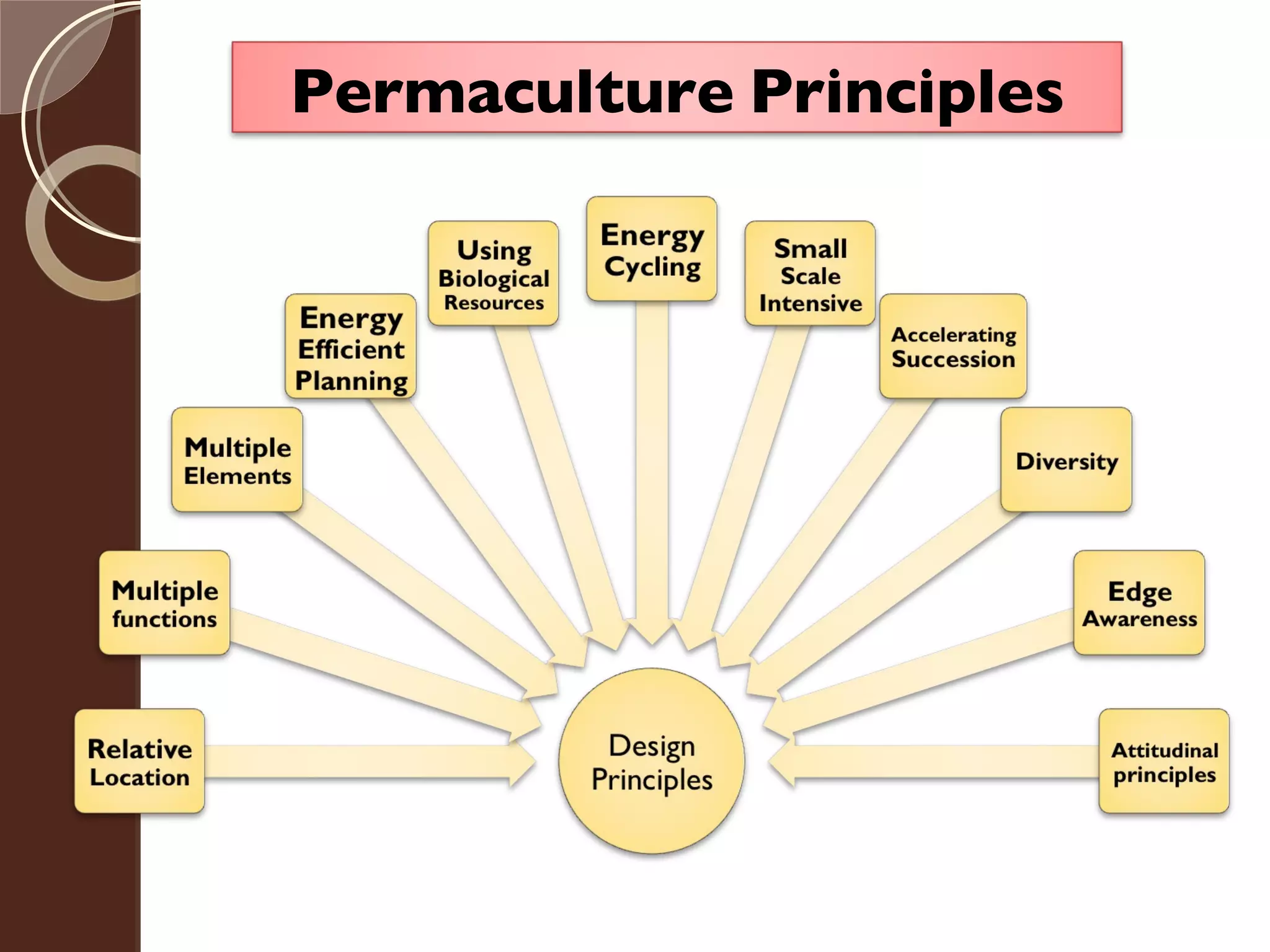 Permaculture   Principles 
